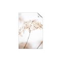 Picture of Desert Bloom Elegance _GroupedProduct_Rectangle_Portrait_Photography _GroupedProduct_Rectangle_Portrait_Unframed_Print_Only_
