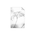 Picture of Desert Bloom Elegance _GroupedProduct_Rectangle_Portrait_Photography _GroupedProduct_Rectangle_Portrait_Unframed_Print_Only_