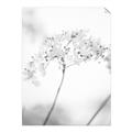 Picture of Desert Bloom Elegance _GroupedProduct_Rectangle_Portrait_Photography _GroupedProduct_Rectangle_Portrait_Unframed_Print_Only_