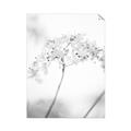 Picture of Desert Bloom Elegance _GroupedProduct_Rectangle_Portrait_Photography _GroupedProduct_Rectangle_Portrait_Unframed_Print_Only_