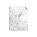 Picture of Neutral Bloom Reeds _GroupedProduct_Rectangle_Portrait_Photography _GroupedProduct_Rectangle_Portrait_Unframed_Print_Only_