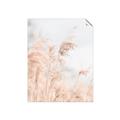 Picture of Neutral Bloom Reeds _GroupedProduct_Rectangle_Portrait_Photography _GroupedProduct_Rectangle_Portrait_Unframed_Print_Only_