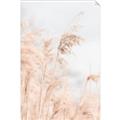 Picture of Neutral Bloom Reeds _GroupedProduct_Rectangle_Portrait_Photography _GroupedProduct_Rectangle_Portrait_Unframed_Print_Only_