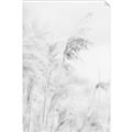 Picture of Neutral Bloom Reeds _GroupedProduct_Rectangle_Portrait_Photography _GroupedProduct_Rectangle_Portrait_Unframed_Print_Only_