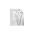 Picture of Creamy Petal Pampas I _GroupedProduct_Rectangle_Portrait_Photography _GroupedProduct_Rectangle_Portrait_Unframed_Print_Only_