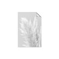 Picture of Creamy Petal Pampas I _GroupedProduct_Rectangle_Portrait_Photography _GroupedProduct_Rectangle_Portrait_Unframed_Print_Only_