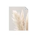 Picture of Creamy Petal Pampas I _GroupedProduct_Rectangle_Portrait_Photography _GroupedProduct_Rectangle_Portrait_Unframed_Print_Only_