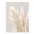 Picture of Creamy Petal Pampas I _GroupedProduct_Rectangle_Portrait_Photography _GroupedProduct_Rectangle_Portrait_Unframed_Print_Only_