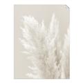 Picture of Creamy Petal Pampas I _GroupedProduct_Rectangle_Portrait_Photography _GroupedProduct_Rectangle_Portrait_Unframed_Print_Only_