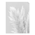 Picture of Creamy Petal Pampas I _GroupedProduct_Rectangle_Portrait_Photography _GroupedProduct_Rectangle_Portrait_Unframed_Print_Only_