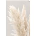 Picture of Creamy Petal Pampas I _GroupedProduct_Rectangle_Portrait_Photography _GroupedProduct_Rectangle_Portrait_Unframed_Print_Only_