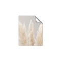 Picture of Creamy Petal Pampas II _GroupedProduct_Rectangle_Portrait_Photography _GroupedProduct_Rectangle_Portrait_Unframed_Print_Only_