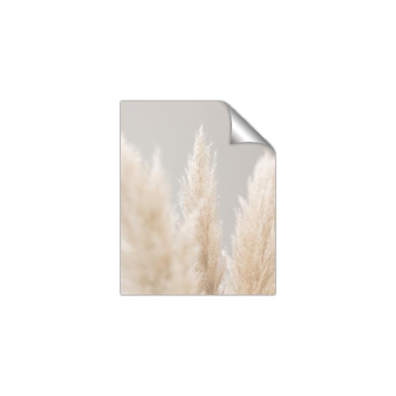 Picture of Creamy Petal Pampas II _GroupedProduct_Rectangle_Portrait_Photography _GroupedProduct_Rectangle_Portrait_Unframed_Print_Only_