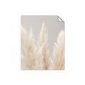 Picture of Creamy Petal Pampas II _GroupedProduct_Rectangle_Portrait_Photography _GroupedProduct_Rectangle_Portrait_Unframed_Print_Only_