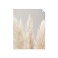 Picture of Creamy Petal Pampas II _GroupedProduct_Rectangle_Portrait_Photography _GroupedProduct_Rectangle_Portrait_Unframed_Print_Only_