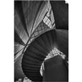 Picture of Muted Sun's Rays on Stairs _GroupedProduct_Rectangle_Portrait_Photography _GroupedProduct_Rectangle_Portrait_Unframed_Print_Only_