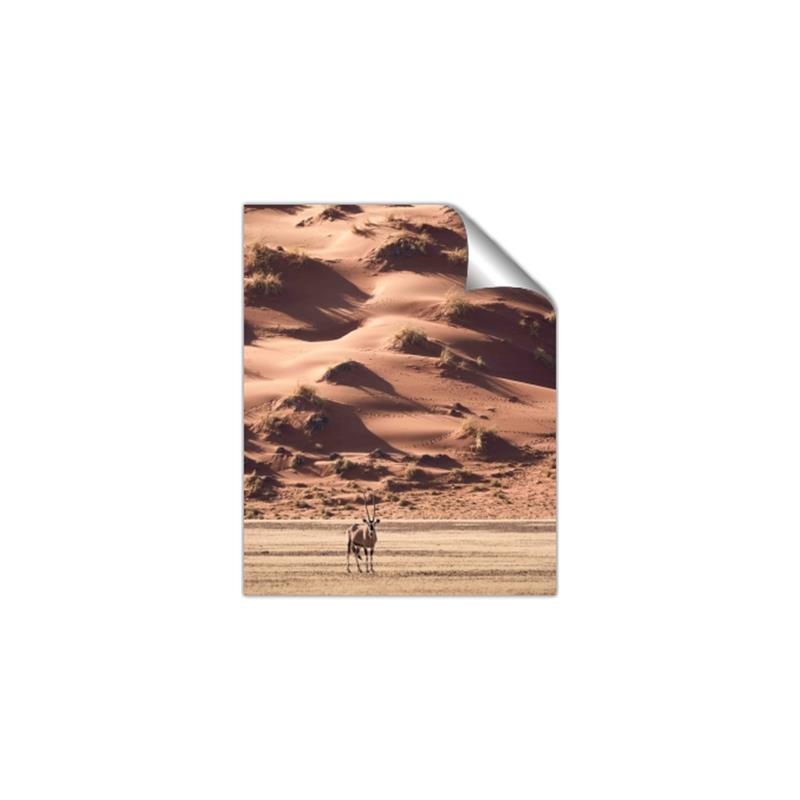 Picture of Tranquil Walk in the Valley _GroupedProduct_Rectangle_Portrait_Photography _GroupedProduct_Rectangle_Portrait_Unframed_Print_Only_