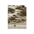Picture of Tranquil Walk in the Valley _GroupedProduct_Rectangle_Portrait_Photography _GroupedProduct_Rectangle_Portrait_Unframed_Print_Only_
