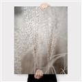 Picture of Elysian Grass _GroupedProduct_Rectangle_Portrait_Photography _GroupedProduct_Rectangle_Portrait_Canvas_