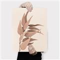 Picture of Dried Eucalyptus Blossom _GroupedProduct_Rectangle_Portrait_Photography _GroupedProduct_Rectangle_Portrait_Canvas_