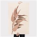 Picture of Dried Eucalyptus Blossom _GroupedProduct_Rectangle_Portrait_Photography _GroupedProduct_Rectangle_Portrait_Canvas_