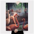 Picture of Flamingo _GroupedProduct_Rectangle_Portrait_Photography _GroupedProduct_Rectangle_Portrait_Canvas_