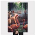 Picture of Flamingo _GroupedProduct_Rectangle_Portrait_Photography _GroupedProduct_Rectangle_Portrait_Canvas_