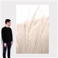 Picture of Rhapsody of Grass Blades _GroupedProduct_Rectangle_Portrait_Photography _GroupedProduct_Rectangle_Portrait_Canvas_