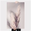 Picture of Enchanted Pampas Grass _GroupedProduct_Rectangle_Portrait_Photography _GroupedProduct_Rectangle_Portrait_Canvas_