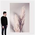 Picture of Enchanted Pampas Grass _GroupedProduct_Rectangle_Portrait_Photography _GroupedProduct_Rectangle_Portrait_Canvas_
