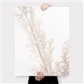 Picture of Earthy Flora Straws _GroupedProduct_Rectangle_Portrait_Photography _GroupedProduct_Rectangle_Portrait_Canvas_