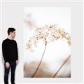 Picture of Desert Bloom Elegance _GroupedProduct_Rectangle_Portrait_Photography _GroupedProduct_Rectangle_Portrait_Canvas_