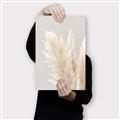 Picture of Creamy Petal Pampas I _GroupedProduct_Rectangle_Portrait_Photography _GroupedProduct_Rectangle_Portrait_Canvas_