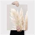 Picture of Creamy Petal Pampas I _GroupedProduct_Rectangle_Portrait_Photography _GroupedProduct_Rectangle_Portrait_Canvas_