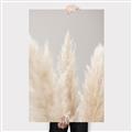 Picture of Creamy Petal Pampas II _GroupedProduct_Rectangle_Portrait_Photography _GroupedProduct_Rectangle_Portrait_Canvas_