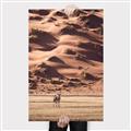 Picture of Tranquil Walk in the Valley _GroupedProduct_Rectangle_Portrait_Photography _GroupedProduct_Rectangle_Portrait_Canvas_