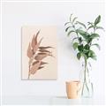 Picture of Dried Eucalyptus Blossom _GroupedProduct_Rectangle_Portrait_Photography _GroupedProduct_Rectangle_Portrait_Canvas_