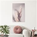 Picture of Enchanted Pampas Grass _GroupedProduct_Rectangle_Portrait_Photography _GroupedProduct_Rectangle_Portrait_Canvas_