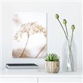 Picture of Desert Bloom Elegance _GroupedProduct_Rectangle_Portrait_Photography _GroupedProduct_Rectangle_Portrait_Canvas_