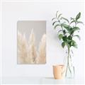 Picture of Creamy Petal Pampas II _GroupedProduct_Rectangle_Portrait_Photography _GroupedProduct_Rectangle_Portrait_Canvas_