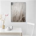 Picture of Elysian Grass _GroupedProduct_Rectangle_Portrait_Photography _GroupedProduct_Rectangle_Portrait_Canvas_Framed_