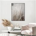 Picture of Elysian Grass _GroupedProduct_Rectangle_Portrait_Photography _GroupedProduct_Rectangle_Portrait_Canvas_Framed_