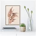 Picture of Dried Eucalyptus Blossom _GroupedProduct_Rectangle_Portrait_Photography _GroupedProduct_Rectangle_Portrait_Canvas_Framed_