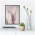 Picture of Enchanted Pampas Grass _GroupedProduct_Rectangle_Portrait_Photography _GroupedProduct_Rectangle_Portrait_Canvas_Framed_