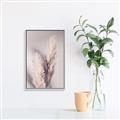 Picture of Enchanted Pampas Grass _GroupedProduct_Rectangle_Portrait_Photography _GroupedProduct_Rectangle_Portrait_Canvas_Framed_