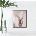Picture of Enchanted Pampas Grass _GroupedProduct_Rectangle_Portrait_Photography _GroupedProduct_Rectangle_Portrait_Canvas_Framed_