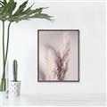 Picture of Enchanted Pampas Grass _GroupedProduct_Rectangle_Portrait_Photography _GroupedProduct_Rectangle_Portrait_Canvas_Framed_