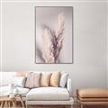 Picture of Enchanted Pampas Grass _GroupedProduct_Rectangle_Portrait_Photography _GroupedProduct_Rectangle_Portrait_Canvas_Framed_