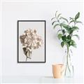 Picture of Lullaby of a Beige Flower _GroupedProduct_Rectangle_Portrait_Photography _GroupedProduct_Rectangle_Portrait_Canvas_Framed_