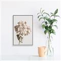 Picture of Lullaby of a Beige Flower _GroupedProduct_Rectangle_Portrait_Photography _GroupedProduct_Rectangle_Portrait_Canvas_Framed_
